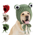 Cartoon Frog Animal Shape Pet Knitting Woolen Cappello